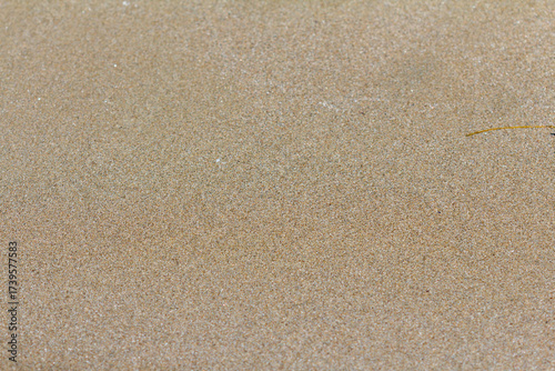 Wet sand on sea beach background