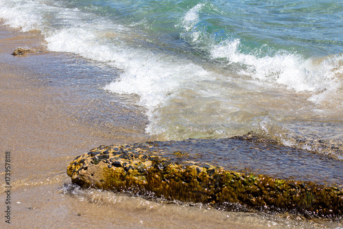 Stone with seaweed on the seashore on a sunny day with surf