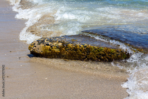 Stone with seaweed on the seashore on a sunny day with surf