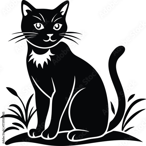 Black cat sitting in grass with white collar detail
