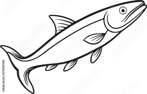 pike fish outline vector illustration line art