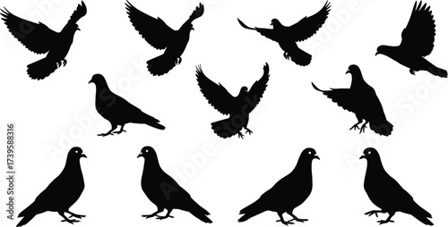 Flat vector pigeon silhouettes, flying birds, perched pigeons, black bird shapes, wildlife illustration, urban dove design, animal graphics, minimalist style