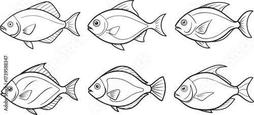 Collection of pomfret fish outline vector illustration line art