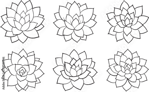 Collection of succulent plant outline vector illustration line art