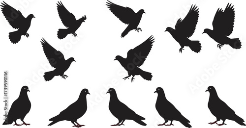 Silhouette pigeons flying and standing, bird flock in motion, wildlife illustration, urban dove collection, animal behavior poses, decorative vector art