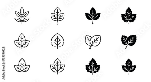 Collection of stylized leaf icons representing nature and botanicals for design projects vector
