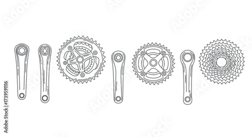 Detailed bicycle crankset and cassette sprockets in a clean presentation vector