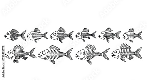 Whimsical pattern of stylized fish with intricate line art and bold stripes for artistic projects vector