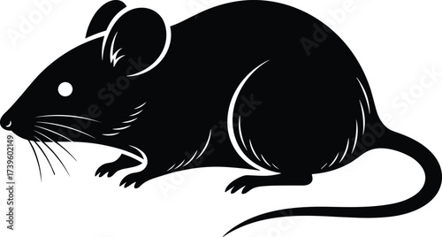Mouse vector illustration, rodent silhouette, simple design concept, whisker detail, small creature, graphic art, wildlife depiction, black shape, side profile