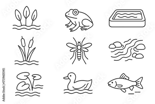 Wetland Revival Icons. Line style icons of wetland revival: water plants, amphibian return, re-dug pond, reed bed, wetland insects