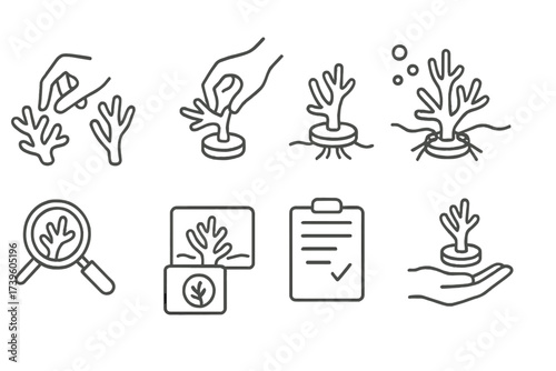 Coral Transplant Icons. Line style icons of coral transplanting process: selecting fragments, attaching coral, positioning on reef