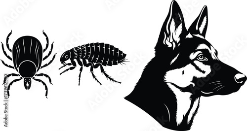 Tick and flea vector, dog head silhouette, pet parasite illustration, pest control concept, veterinary care, insect and arachnid graphic