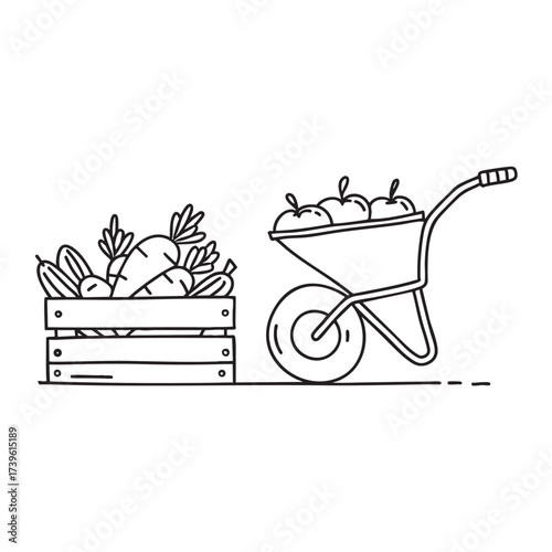 A wheelbarrow near a wooden crate filled with harvested vegetables