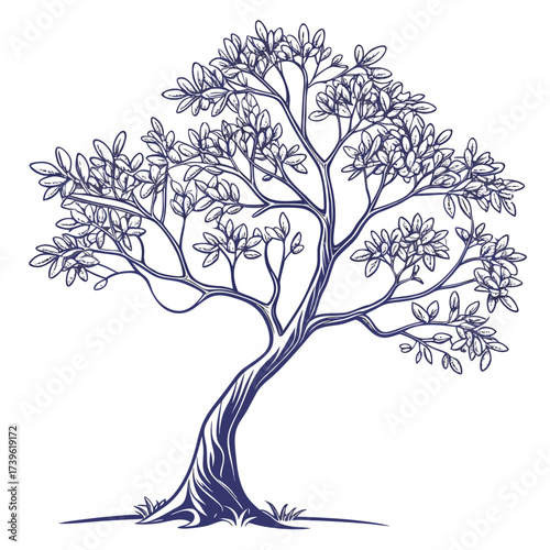 mexican plum tree on white background 
