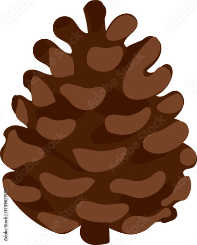 vector illustration of a pine cone