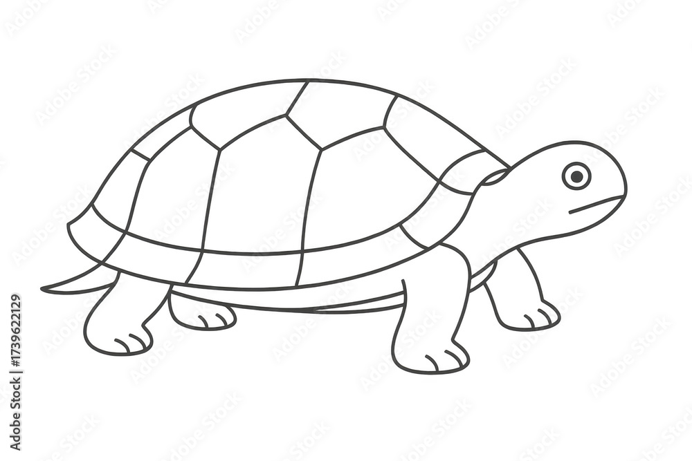 Fototapeta premium Simple outlined turtle illustration isolated on a transparent background art