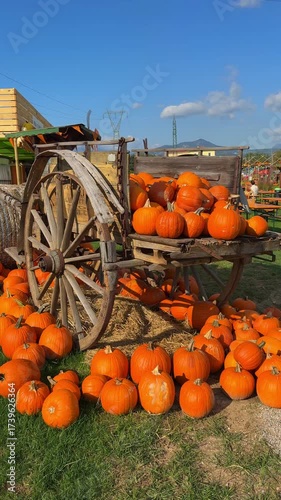 Rustic old wooden cart filled with pumpkins as autumn fair decoration. Cinematic seasonal harvest display, festive Halloween market scene, vibrant fall rustic atmosphere