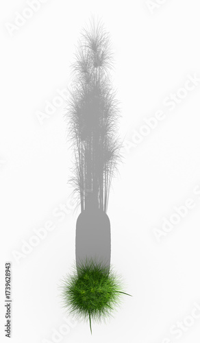 Outdoor plant shadow from top view. Plant shadow in sunlight. isolated on white background . 3D rendering