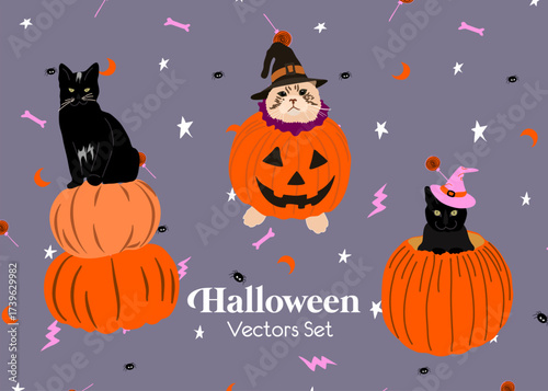 Chats noirs portant un chapeau de sorcières dans des citrouilles, pour créer des affiches d'Halloween. Fichier vectoriel modifiable. Lune, eclair, balai de sorcière, monstres, araignée