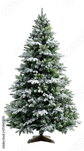 An artificial Christmas tree covered with snow on a transparent background.