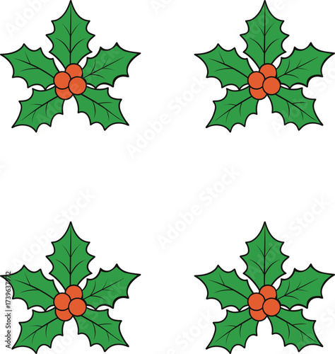 Vector festive holly sprigs with red berries on white background. 