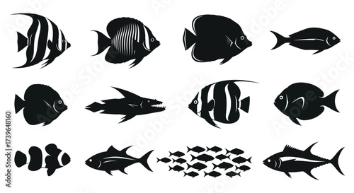 Vector illustration of collection of diverse fish silhouettes, including angelfish, clownfish, tuna, and a school of small fish