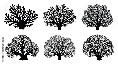 Vector illustration of collection of six stylized black and white tree silhouettes with intricate branching patterns
