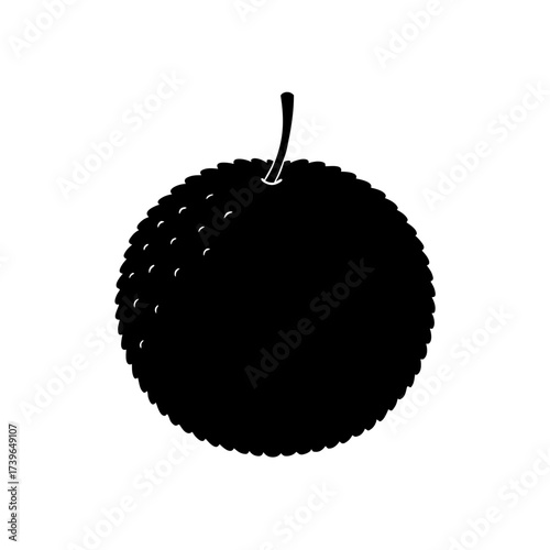Illustration of a single black lychee fruit with textured rind and small stem on a white background image on transparent background silhouette