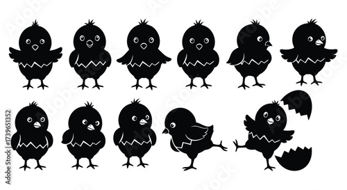 Vector illustration of collection of twelve black chick silhouettes in various poses, including one hatching from an egg