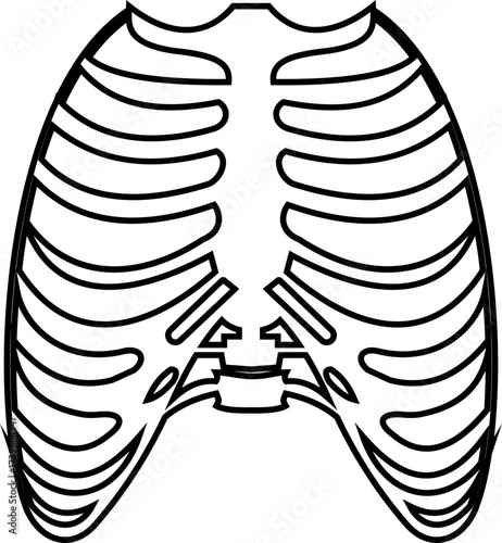 Human rib cage skeleton icon isolated on transparent background in black and line style, anatomy chest thorax bones medical illustration vector design element.