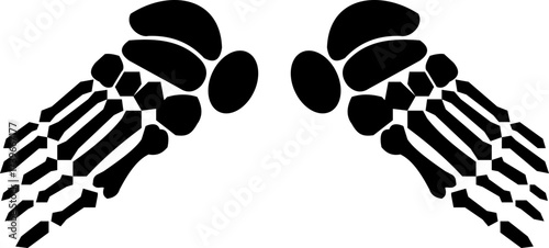 Human foot bone skeleton icon isolated on transparent background in black style, anatomy tibia femur foot fingers bones medical vector illustration design element