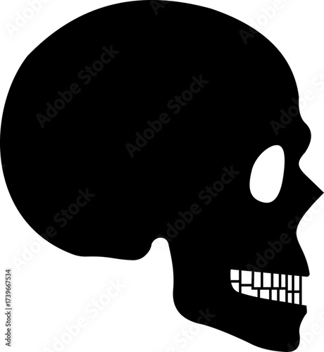 Human skull skeleton icon isolated on transparent background in black style, anatomy cranium head bones medical illustration vector design graphic element.