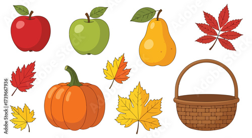 Autumn Harvest Collection Apples Pear Pumpkin Basket Colorful Fall Leaves Vector Illustration