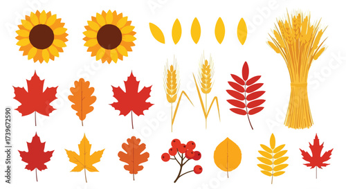 Autumn Harvest Collection Sunflowers Wheat and Fall Leaves Vector Illustration Seasonal Elements for Design