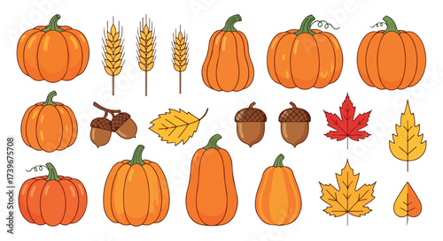 Autumn Harvest Collection Pumpkins Gourds Acorns Fall Leaves Vector Illustration Perfect for Thanksgiving Halloween Designs