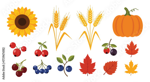 Autumn Harvest Icons Sunflower Wheat Pumpkin Berries and Fall Leaves Set