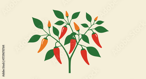A pepper plant with green leaves branching stems and ripening orange  red peppers stands against an offwhite background