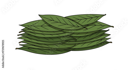 A pile of overlapping green bay leaves with visible veins and stems