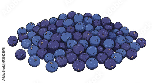 A pile of many blueberries clustered tightly together on a white background