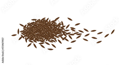 A scattered pile of brown seedlike objects on a white background