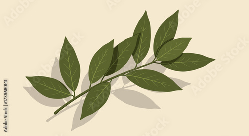 Branch with green leaves and light gray shadows on a light tan background
