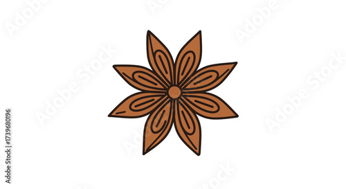 Brown star anise illustration on a white background