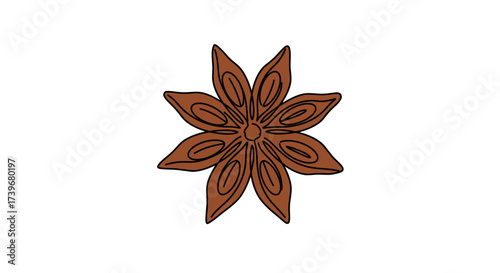 Brown star anise with pointed tips outlined in black featuring ovular seed shapes inside and a textured central disc