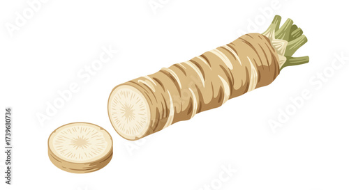 Depicts a whole wasabi root with a slice cut off isolated on a white background