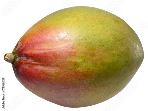 Whole mango with smooth skin, tropical fruit on isolated background
