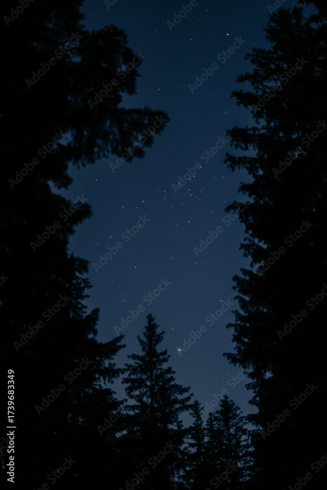 Fototapeta premium Night sky in the mountains