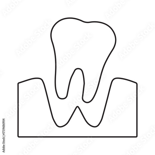 Tooth outline