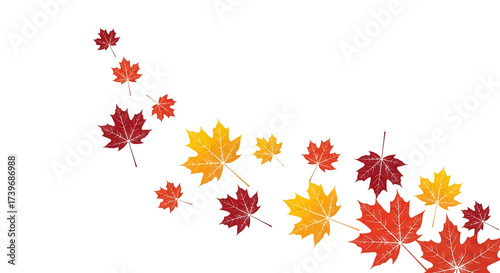 Wallpaper Mural A swirling pattern of red and yellow maple leaves in autumn colors isolated on a transparent background Torontodigital.ca