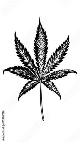 Detailed black and white vector illustration of a cannabis leaf with visible veins and serrated edges in flat minimalist style for medical and recreational themes
