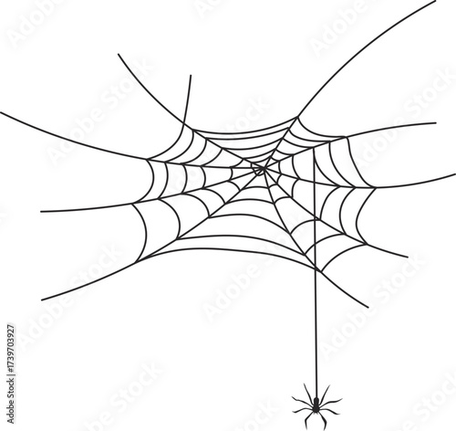 Cobweb with Spider